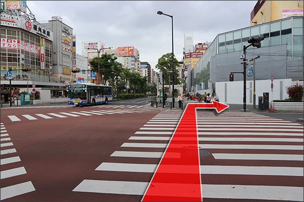 ルートイメージ